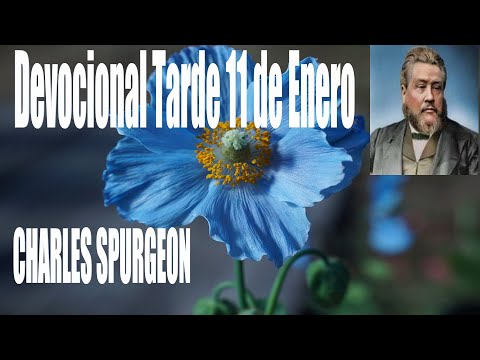 Devocional /Charles Spurgeon/Tarde 11 de Enero-"He orado por ti".Lucas 22:32