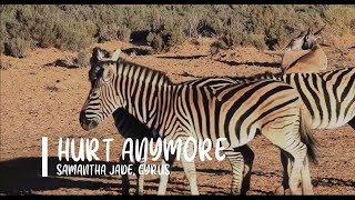 Hurt Anymore - Samantha Jade, Cyrus - Lyrics Video