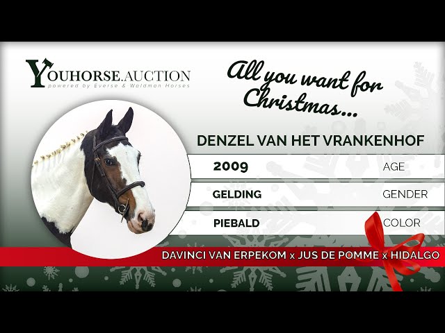 Denzel Van Het VrankenHof Z Show video