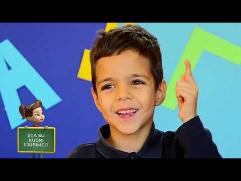 Kefalica: Šta rade bebe? Šta su kućni ljubimci? Šta su godišnja doba?