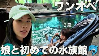 【子連れVlog】ワンオペで2歳と水族館行ったら想定外すぎた