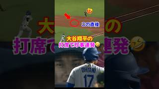 大谷翔平の打席で珍事連発の試合に注目！ドジャース対レイズ