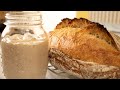 How to Make a Simple Wheat Sourdough Starter | The Perfect Basic or Beginners recipe