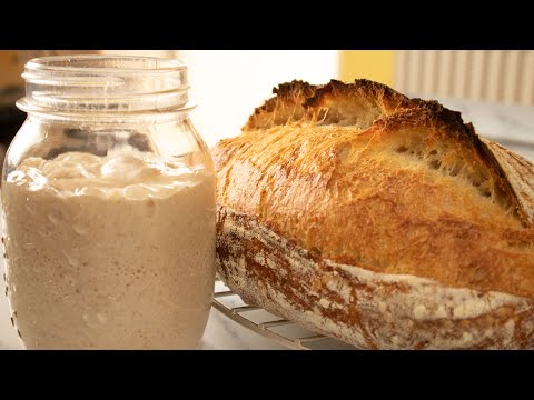 How to Make a Simple Wheat Sourdough Starter | The Perfect Basic or Beginners recipe