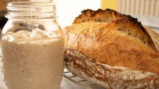 How to Make a Simple Wheat Sourdough Starter | The Perfect Basic or Beginners recipe