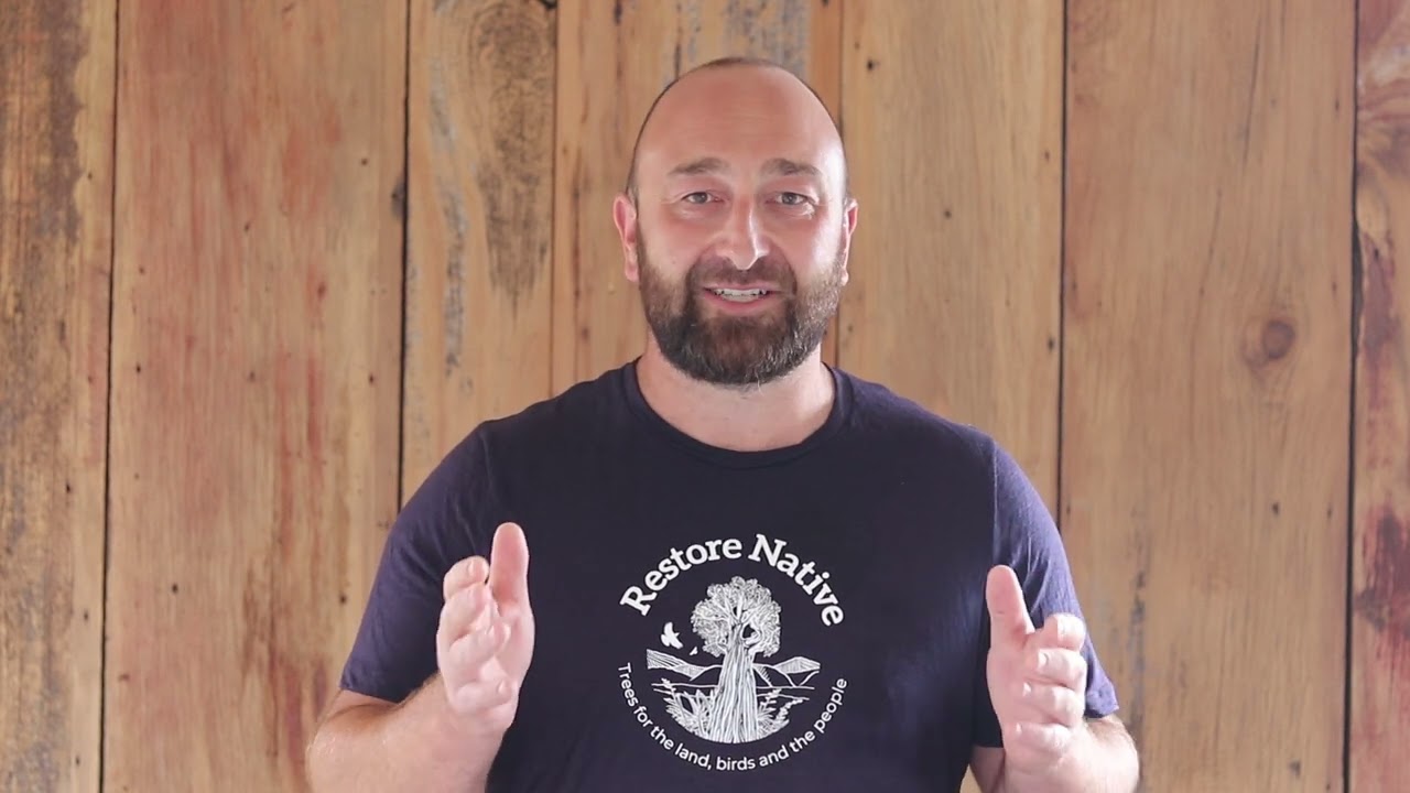 Collaborating with Restore Native