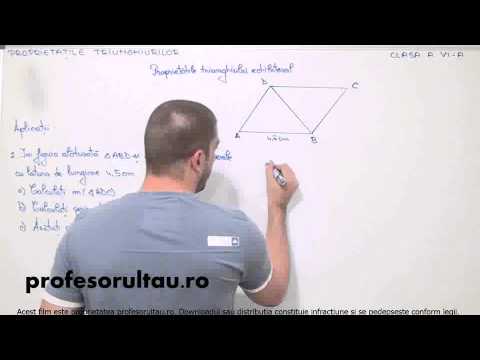 echilateral probleme rezolvate - profesorultau.ro