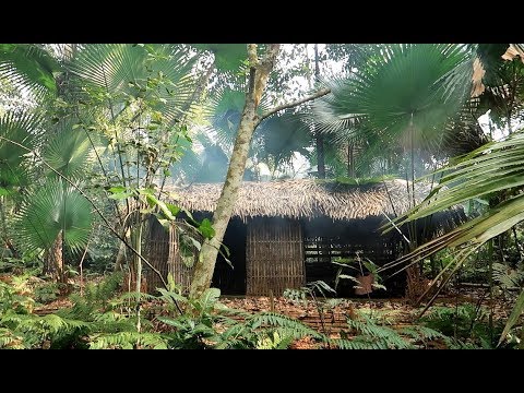 Primitive Technology Living in the forest natural wilderness
