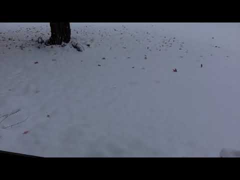 Record Breaking Minnesota Snowfall Timelapse - October 2020