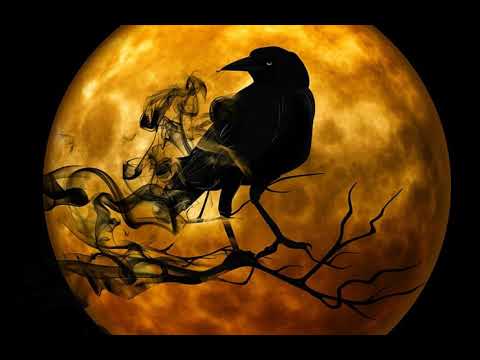 Natal Moon in 8th House: Emotionally Deep, Psychic & In Touch With Your Shadow!