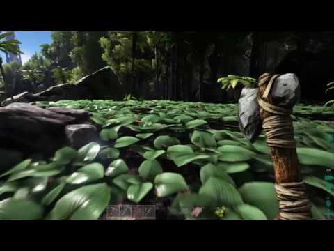 Ark: Turtle vs. Croc