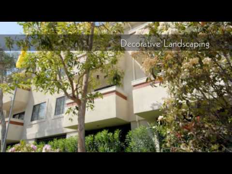 White Oak Apartments for Rent in Encino California