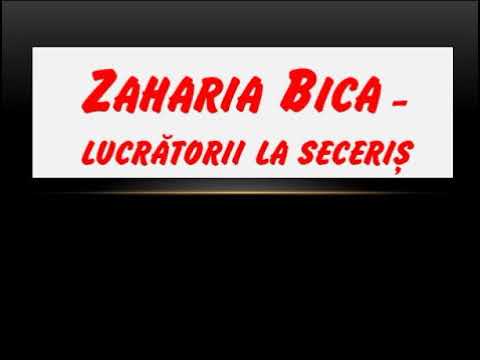 🔔Zaharia Bica AUDIO - Rugati pe Domnul secerisului...