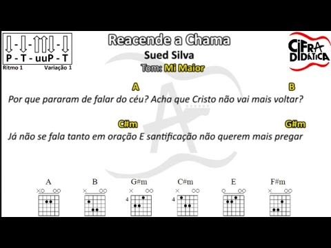 Forró Dimalaekuia - A chama - Novas Bandas