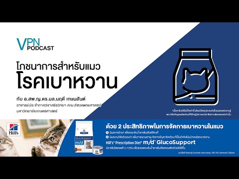 VPN Podcast EP.39 - Nutrition for Diabetic Cats