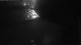 The Marine Mammal Center Live Stream Point Reyes National Seashore live webcam