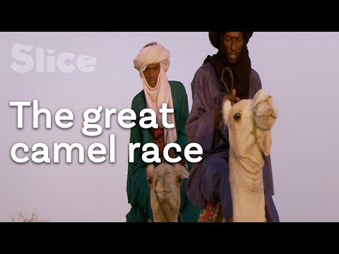 The Wodaabe tribe: camel riders of the desert | SLICE