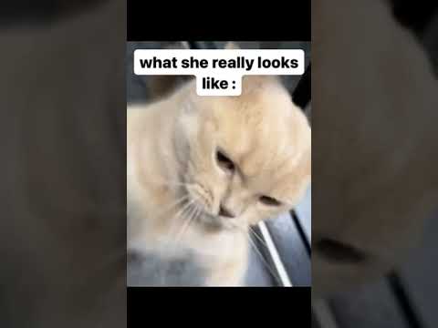 when gf get angry🤣