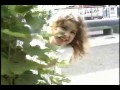 Jorge Drexler - Raquel