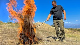 דג טרי שנתפס מטוגן על האש! היום זה המזל שלי!
