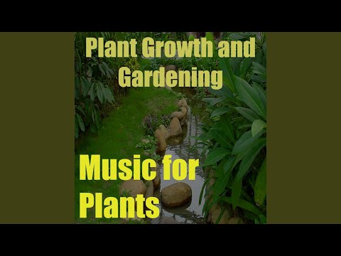 Music for Plants, Vol. 1 (Plant Growth and Gardening)