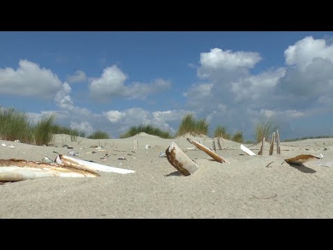 Langeoog - Impressionen, die begeistern - in 5 Minuten