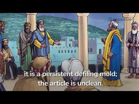 Leviticus 13:47 - 59: Regulations About Defiling Moulds | Bible Stories