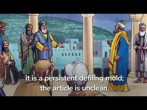 Leviticus 13:47 – 59: Regulations About Defiling Molds |Bible Stories