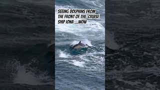 🐬 DolphinsLead the Way! Incredible Moment from P&O Iona:#PAndOIona #CruiseMagic #DolphinSpotting