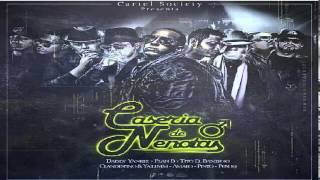 Daddy Yankee, Plan B, Tito El Bambino, Amaro &amp; Mas - Caseria De Nenotas Remix ✓