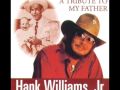 Hank Williams Jr -  Living Proof