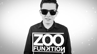 Zoo Funktion - Electro House Mix - Panda Mix Show