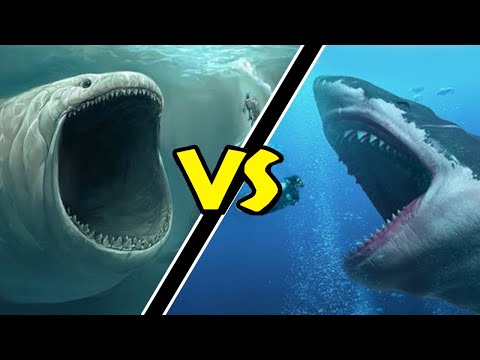 Megalodon VS Bloop! Quem venceria essa Batalha?