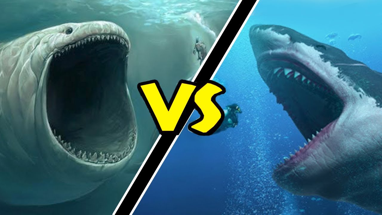 Megalodon VS Bloop! Quem venceria essa Batalha?