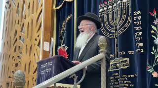 דברי הספד לחייל נועם שמש הי״ד | הרב שמואל אליהו שליט״א | י״ז בתמוז תשפ״ה (הרב שמואל אליהו) - התמונה מוצגת ישירות מתוך אתר האינטרנט יוטיוב. זכויות היוצרים בתמונה שייכות ליוצרה. קישור קרדיט למקור התוכן נמצא בתוך דף הסרטון