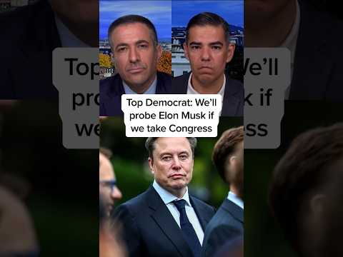 Top Democrat: We’ll probe Elon Musk if we take Congress