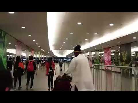 Wall Mirrors Beautiful Flowers Reflection/Shantal Tv Channel