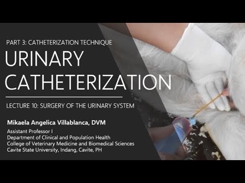 Lecture 10.4 Urinary Catheterization Technique