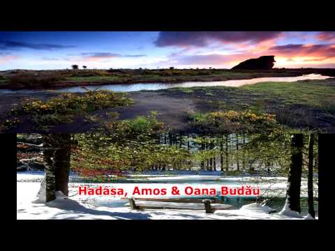 Fratii Budau vol 3 - Bucurie fara margini  (demo)