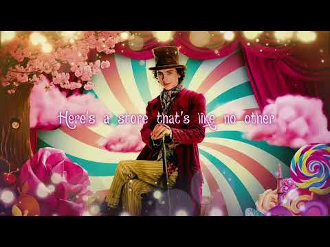 A World Of Your Own (Wonka) -  Timothée Chalamet - Karaoke - Instrumental