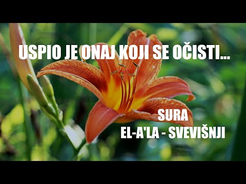 Sura 87. El-A'la - Svevišnji (Bosanski)┇ᴴᴰ┇Mishary Rashid Alafasy