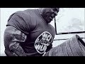 TRAIN INSANE
