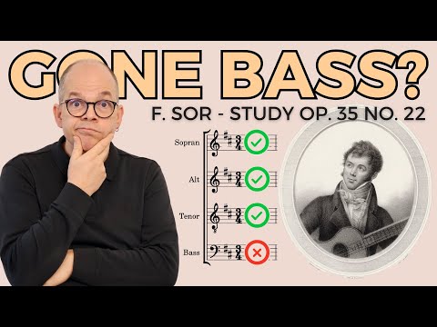 Fernando Sor - Study op. 35 no. 22 B-Minor (Segovia No. 5)
