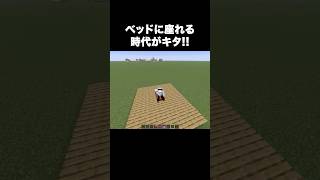 好きな時にいつでもくつろげます【マイクラ】