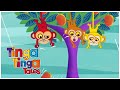 Why Monkeys Swing In The Trees Tinga Tinga Tales Official Full Ep Cartoons For Kids