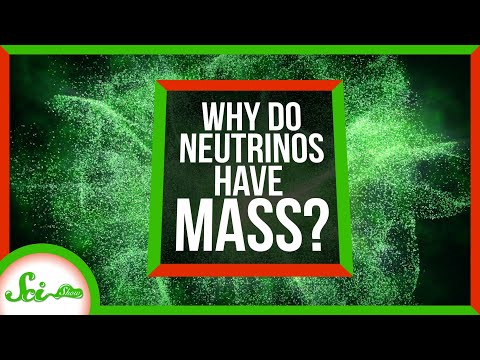Why do neutrinos have mass? A small question with huge consequences