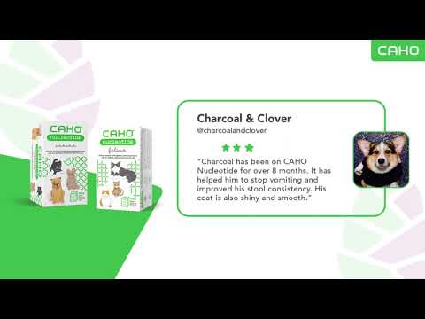 What Paw Parents say about CAHO supplements