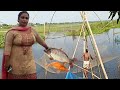 Amazing Net Fishing Video By Village Women Fishing Video Rever Net Fishing Video