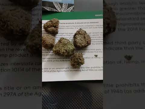 Mood versus boom shop 