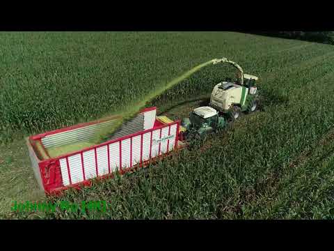 Maishäckseln 2023 Teil 7, LU Loritz mit Krone BIG X 1100, Fendt 930, 924, Pöttinger, Krone [4K]